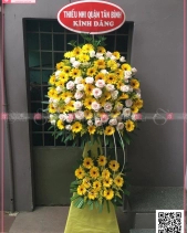 Hoa Chúc Mừng - belovedbeyond.com