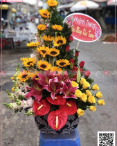 Toả Nắng - belovedbeyond.com