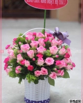 Sớm Mai - belovedbeyond.com