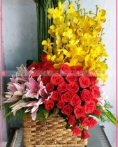 Hoa Chúc Mừng - belovedbeyond.com