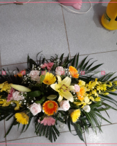 Sức Sống - belovedbeyond.com