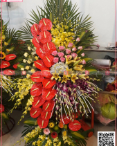 Vươn Xa - belovedbeyond.com