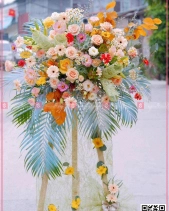 Vươn Xa - belovedbeyond.com