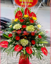 Vững Tiến - belovedbeyond.com