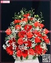 Thu Về - belovedbeyond.com