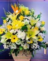 Xinh Xắn - belovedbeyond.com