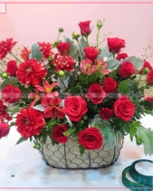 Rực Rỡ - belovedbeyond.com