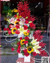 Toả Nắng - belovedbeyond.com