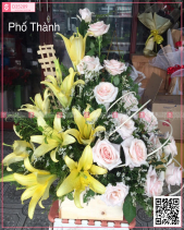 Tình Đầu - belovedbeyond.com
