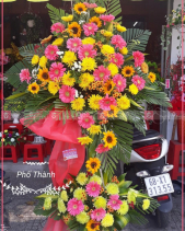 Cảm Ơn - belovedbeyond.com