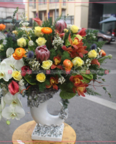 Bền Lâu - belovedbeyond.com