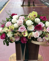 Nắng Hạ - belovedbeyond.com