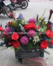 Mùa Yêu - belovedbeyond.com