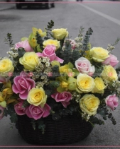 Tinh Khiết - belovedbeyond.com