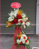 Vươn Xa - belovedbeyond.com