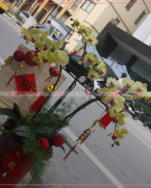 Vĩnh Cửu - belovedbeyond.com