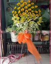 Vinh Hoa - belovedbeyond.com
