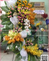 Rực Rỡ - belovedbeyond.com