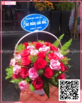 Tình Đầu - belovedbeyond.com
