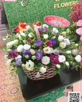 Hy Vọng - belovedbeyond.com