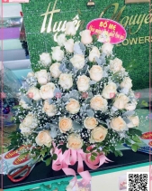 Sức Sống - belovedbeyond.com