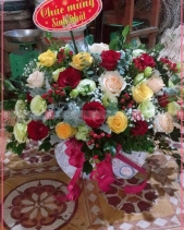 Hy Vọng - belovedbeyond.com