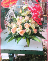 May Mắn - belovedbeyond.com