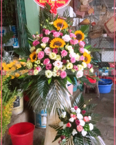 Cảm Ơn - belovedbeyond.com