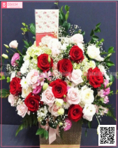 Nắng Hạ - belovedbeyond.com