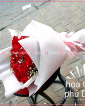 Toả Nắng - belovedbeyond.com