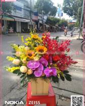 Rực Rỡ - belovedbeyond.com