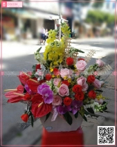 Sớm Mai - belovedbeyond.com