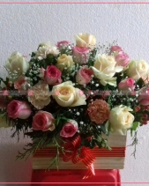 Tinh Khiết - belovedbeyond.com