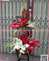 Nồng Thắm - belovedbeyond.com