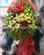 Chung Thuỷ - belovedbeyond.com