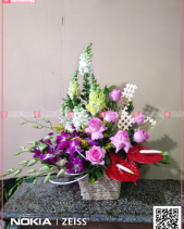 Dịu Dàng - belovedbeyond.com