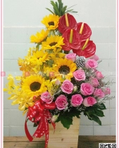 Thành Công - belovedbeyond.com