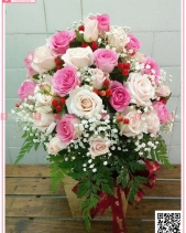 Chiến Thắng - belovedbeyond.com