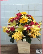 Chắp Cánh - belovedbeyond.com