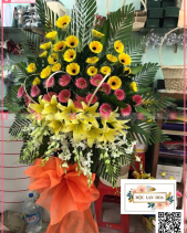 Tươi Sáng - belovedbeyond.com