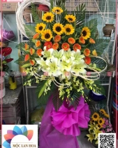 May Mắn - belovedbeyond.com