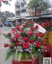 Xinh Xắn - belovedbeyond.com