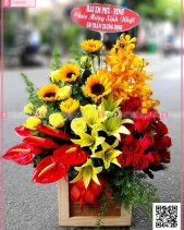 Hoa Chúc Mừng - belovedbeyond.com