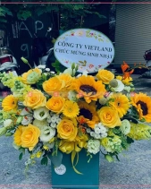 Thành Công - belovedbeyond.com