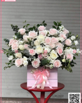 Vươn Xa - belovedbeyond.com