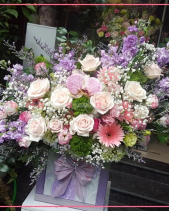 Mùa Yêu - belovedbeyond.com