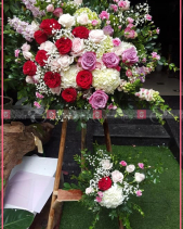 Bách Thắng - belovedbeyond.com