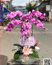 Phát Tài - belovedbeyond.com