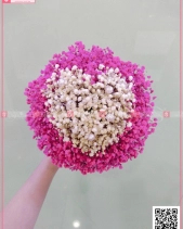 Bó Nhỏ - belovedbeyond.com