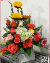 Grand-Opening Uu03 - belovedbeyond.com